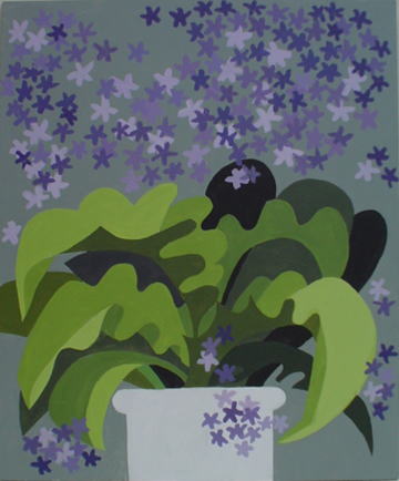 Streptocarpus 1
